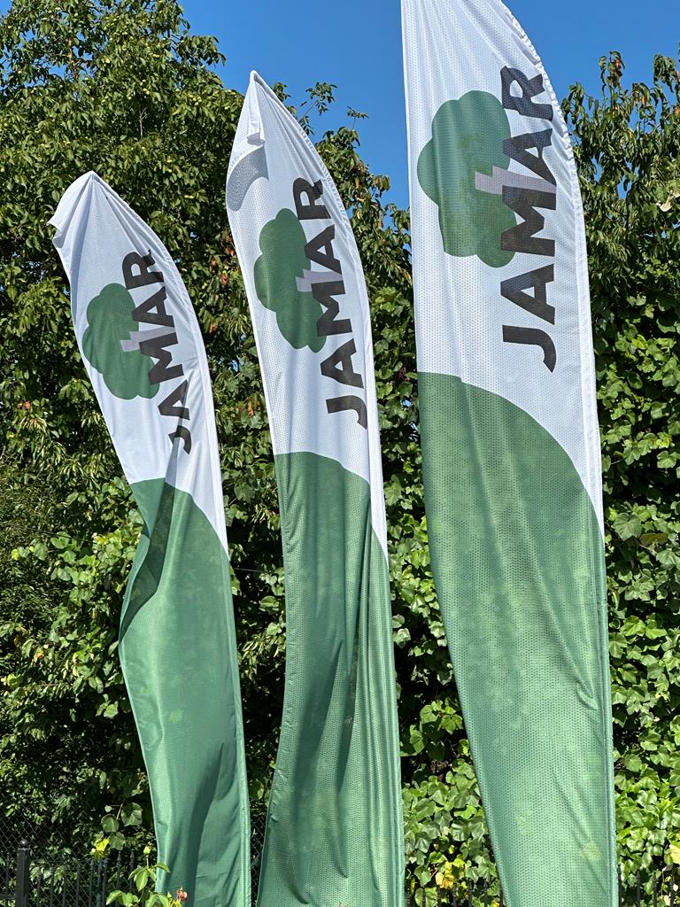 skup katalizatorów cennik